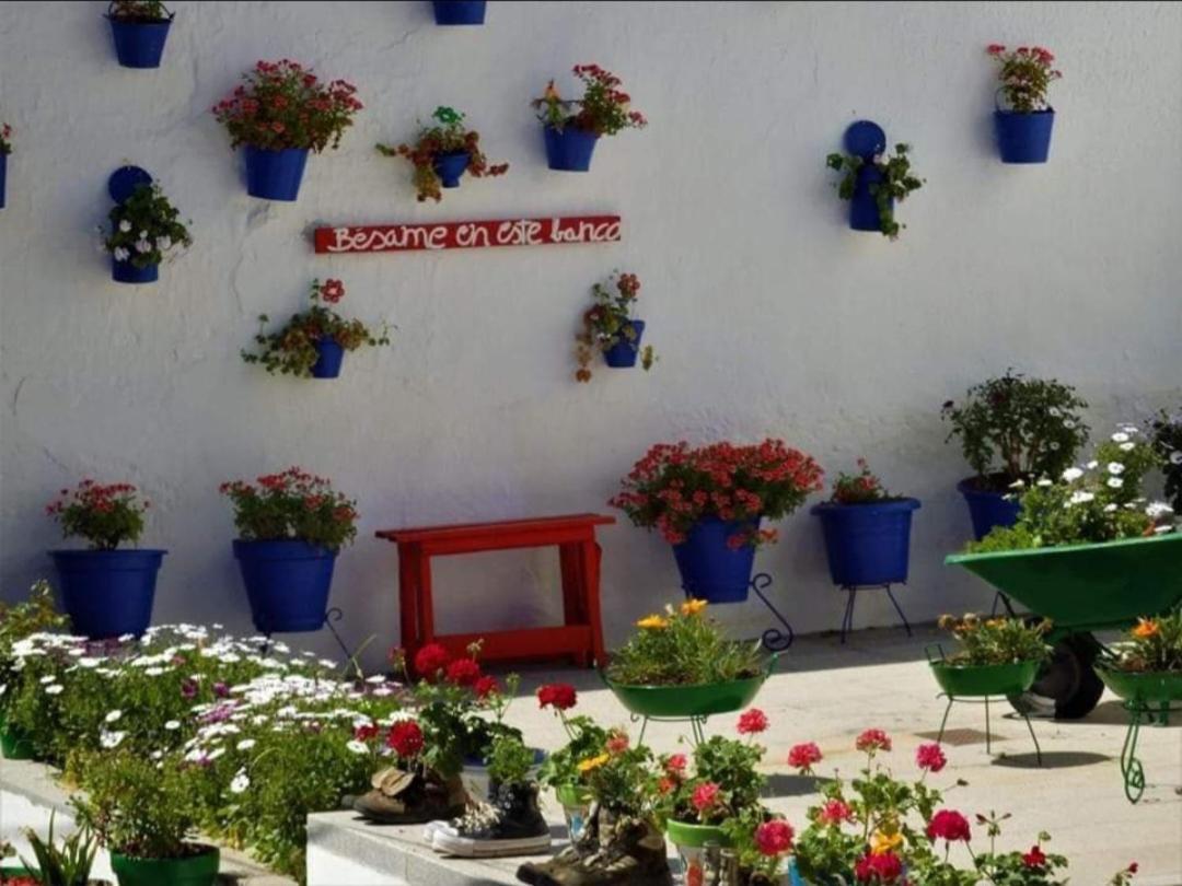 Casa Rural Camino De Los Molinos Y Su Establo La Puebla de los Infantes Extérieur photo